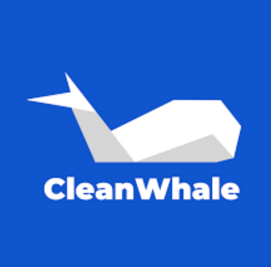 Professionelle Reinigungs- und Reparaturdienste in Berlin