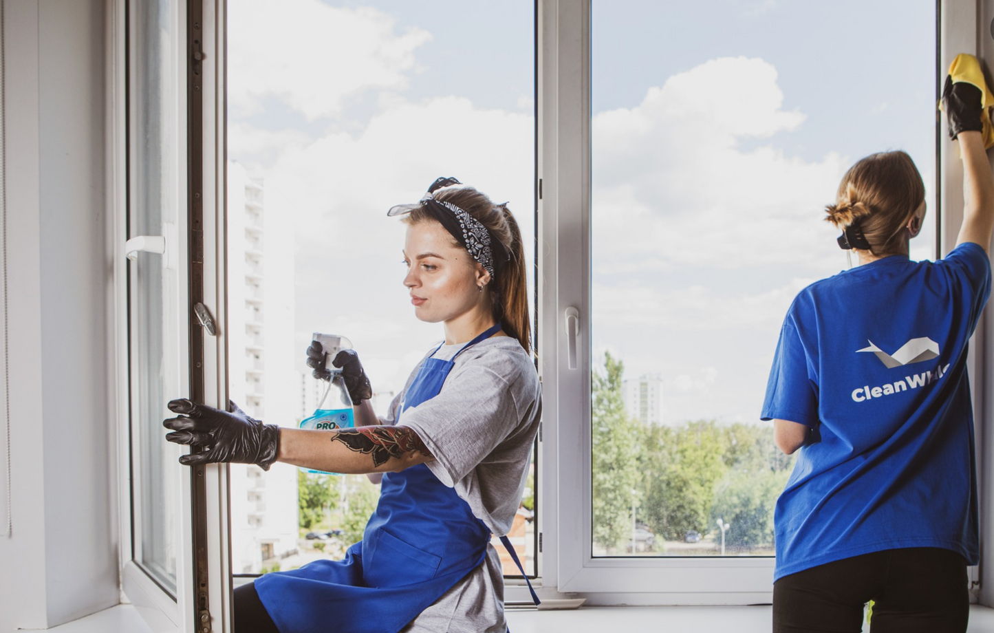 Professional Cleaning and Repair Services in Berlin